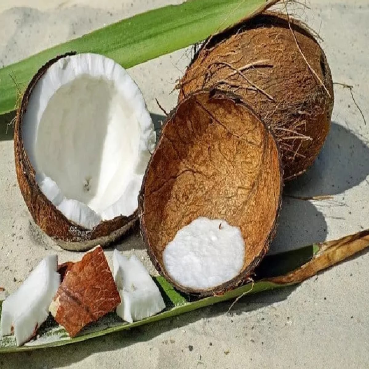 rhum noix de coco